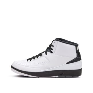 Nike Air Jordan 2 Retro Wing It | Size 14